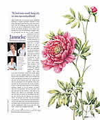 klik voor PDF - column Margriet