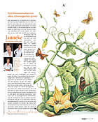 klik voor PDF - column Margriet