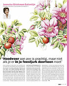 klik voor PDF - column Margriet