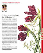 klik voor PDF - column Margriet