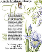 klik voor PDF - column Margriet